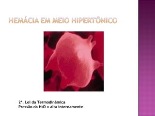 2ª. Lei da Termodinâmica
Pressão da H2O = alta internamente
 