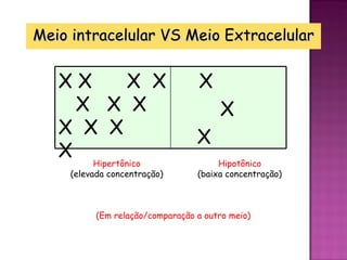 Meio intracelular VS Meio Extracelular


   XX    X X                      X
     X X X                             X
   X X X                          X
   X
           Hipertônico                 Hipotônico
     (elevada concentração)       (baixa concentração)



           (Em relação/comparação a outro meio)
 