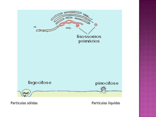 Partículas sólidas   Partículas líquidas
 