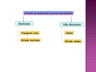 Através da membrana ocorrem movimentos



Mediados                          Não Mediados


 Transporte ativo                   osmose


 Difusão facilitada                 Difusão simples
 