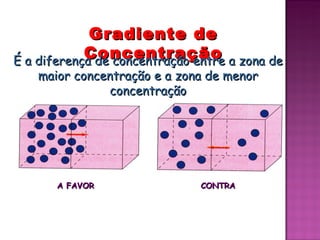 Gradiente de
            Concentração a zona de
É a diferença de concentração entre
   maior concentração e a zona de menor
              concentração




      A FAVOR                CONTRA
 