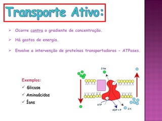  Ocorre contra o gradiente de concentração.

 Há gastos de energia.

 Envolve a intervenção de proteínas transportadoras - ATPases.




      Exemplos:
       Glicose
       Aminoácidos
       Íons
 