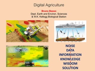 NOISE
DATA
INFORMATION
KNOWLEDGE
WISDOM
SOLUTION
Digital Agriculture
Bruno Basso
Dept. Earth and Environ. Sciences
& W.K. Kellogg Biological Station
 