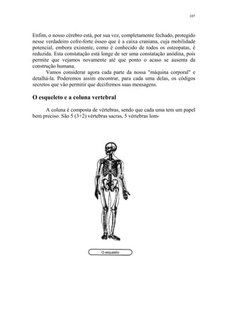 107

Enfim, o nosso cérebro está, por sua vez, completamente fechado, protegido
nesse verdadeiro cofre-forte ósseo que é a caixa craniana, cuja mobilidade
potencial, embora existente, como é conhecido de todos os osteopatas, é
reduzida. Esta constatação está longe de ser uma constatação anódina, pois
permite que vejamos novamente até que ponto o acaso se ausenta da
construção humana.
Vamos considerar agora cada parte da nossa "máquina corporal" e
detalhá-la. Poderemos assim encontrar, para cada uma delas, os códigos
secretos que vão permitir que decifremos suas mensagens.

O esqueleto e a coluna vertebral
A coluna é composta de vértebras, sendo que cada uma tem um papel
bem preciso. São 5 (3+2) vértebras sacras, 5 vértebras lom-

 