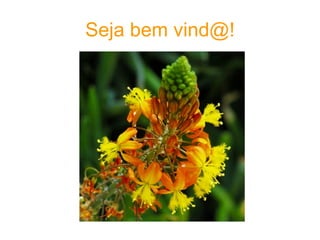 Seja bem vind@! 