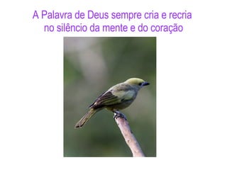 A Palavra de Deus sempre cria e recria  no silêncio da mente e do coração 