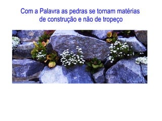 Com a Palavra as pedras se tornam matérias  de construção e não de tropeço 