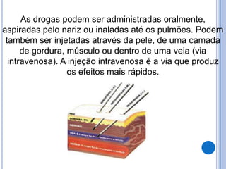 As drogas podem ser administradas oralmente,
aspiradas pelo nariz ou inaladas até os pulmões. Podem
também ser injetadas através da pele, de uma camada
de gordura, músculo ou dentro de uma veia (via
intravenosa). A injeção intravenosa é a via que produz
os efeitos mais rápidos.
 