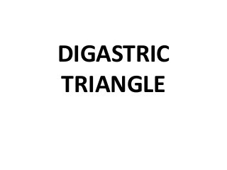DIGASTRIC
TRIANGLE
 