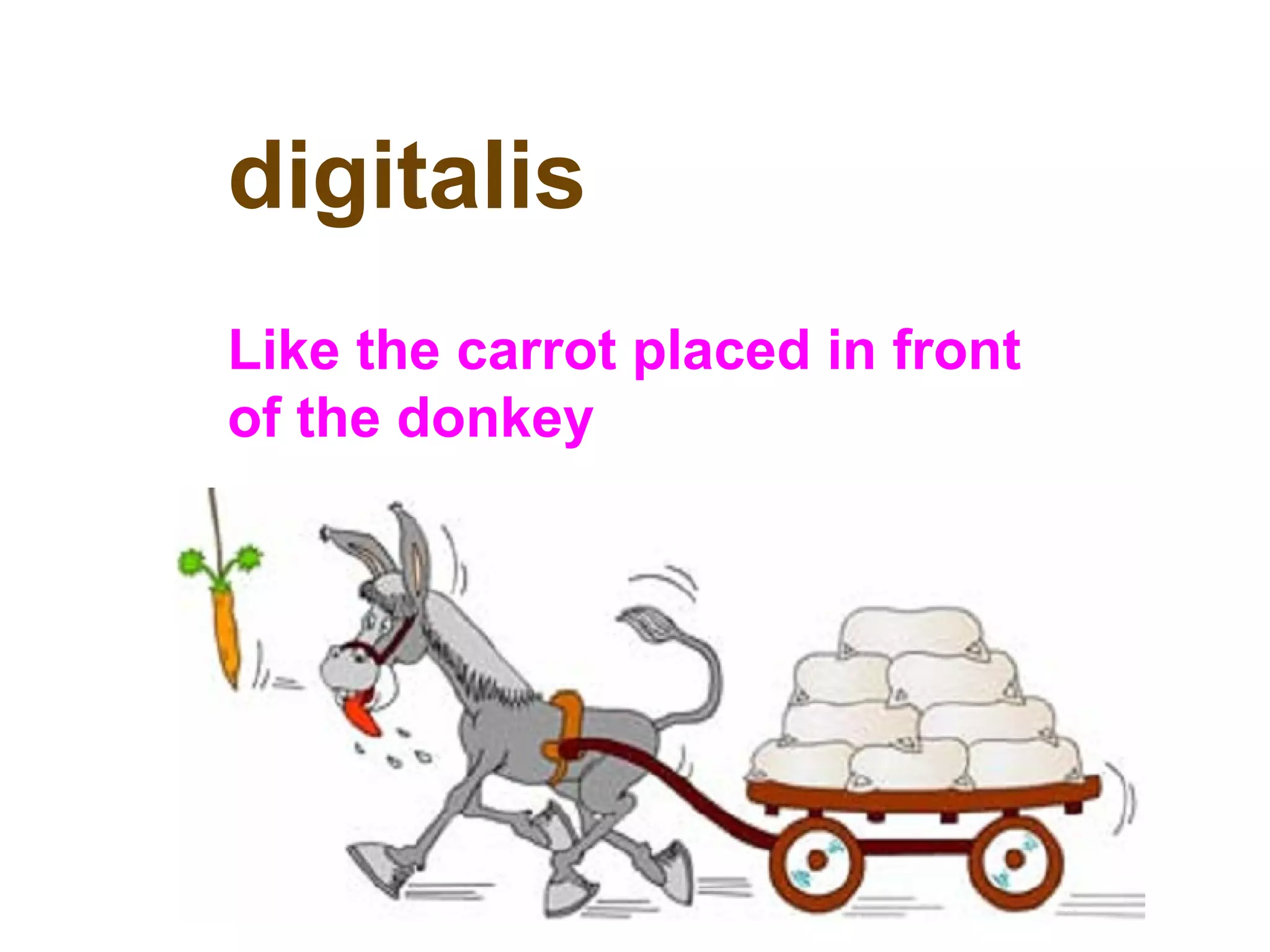 digitalis
Like the carrot placed in front
of the donkey
 