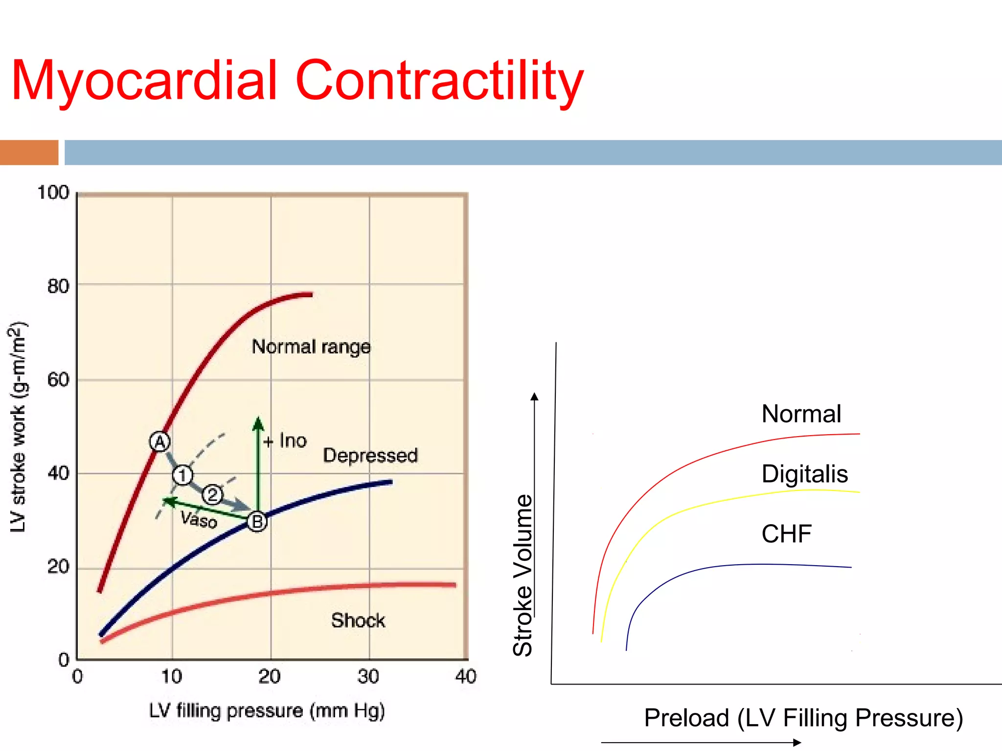 Myocardial Contractility
StrokeVolume
Preload (LV Filling Pressure)
Normal
Digitalis
CHF
 