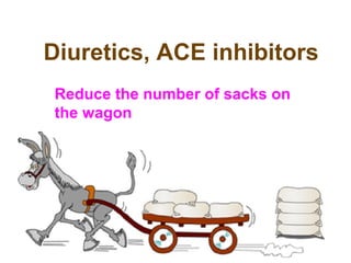 Diuretics, ACE inhibitors
Reduce the number of sacks on
the wagon
 