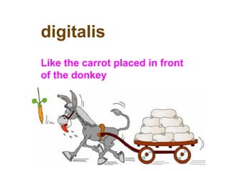 digitalis
Like the carrot placed in front
of the donkey
 