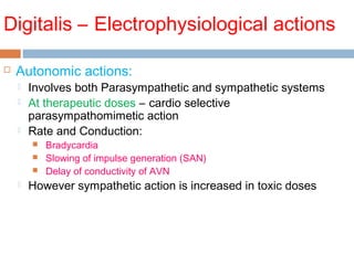 Digitalis – Electrophysiological actions
 Autonomic actions:
 Involves both Parasympathetic and sympathetic systems
 At therapeutic doses – cardio selective
parasympathomimetic action
 Rate and Conduction:
 Bradycardia
 Slowing of impulse generation (SAN)
 Delay of conductivity of AVN
 However sympathetic action is increased in toxic doses
 