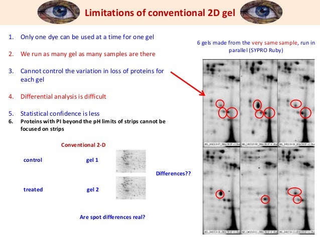 2d gel electrophoresis