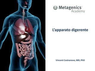 L’apparato digerente
Vincent Castronovo, MD, PhD
 