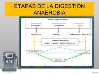 ETAPAS DE LA DIGESTIÓN
ANAEROBIA
 