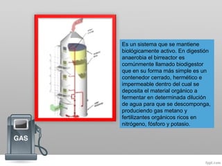 Es un sistema que se mantiene
biológicamente activo. En digestión
anaerobia el birreactor es
comúnmente llamado biodigestor
que en su forma más simple es un
contenedor cerrado, hermético e
impermeable dentro del cual se
deposita el material orgánico a
fermentar en determinada dilución
de agua para que se descomponga,
produciendo gas metano y
fertilizantes orgánicos ricos en
nitrógeno, fósforo y potasio.
 