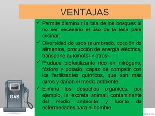 VENTAJAS
 Permite disminuir la tala de los bosques al
no ser necesario el uso de la leña para
cocinar.
 Diversidad de usos (alumbrado, cocción de
alimentos, producción de energía eléctrica,
transporte automotor y otros).
 Produce biofertilizante rico en nitrógeno,
fósforo y potasio, capaz de competir con
los fertilizantes químicos, que son más
caros y dañan el medio ambiente.
 Elimina los desechos orgánicos, por
ejemplo, la excreta animal, contaminante
del medio ambiente y fuente de
enfermedades para el hombre.
 