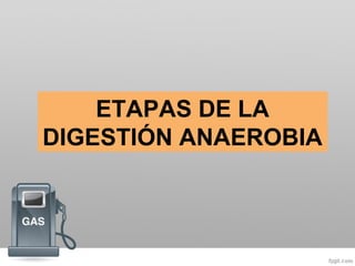 ETAPAS DE LA
DIGESTIÓN ANAEROBIA
 