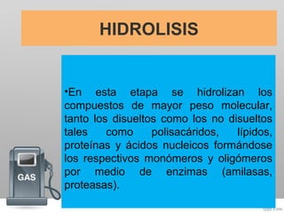 HIDROLISIS
•En esta etapa se hidrolizan los
compuestos de mayor peso molecular,
tanto los disueltos como los no disueltos
tales como polisacáridos, lípidos,
proteínas y ácidos nucleicos formándose
los respectivos monómeros y oligómeros
por medio de enzimas (amilasas,
proteasas).
 