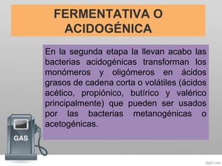 En la segunda etapa la llevan acabo las
bacterias acidogénicas transforman los
monómeros y oligómeros en ácidos
grasos de cadena corta o volátiles (ácidos
acético, propiónico, butírico y valérico
principalmente) que pueden ser usados
por las bacterias metanogénicas o
acetogénicas.
FERMENTATIVA O
ACIDOGÉNICA
 