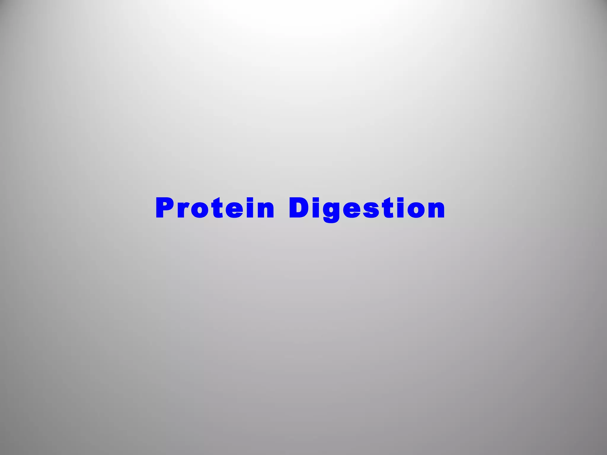 Protein Digestion
 