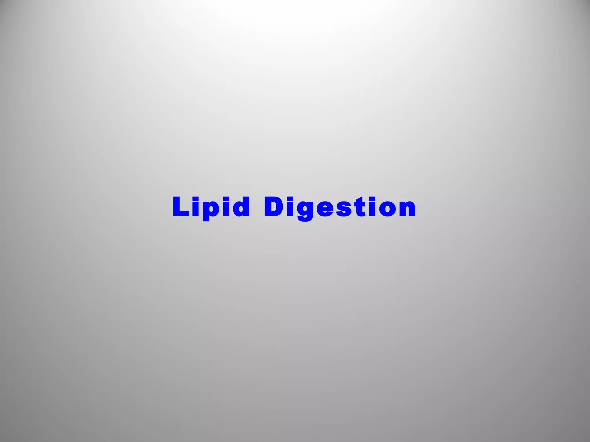 Lipid Digestion
 