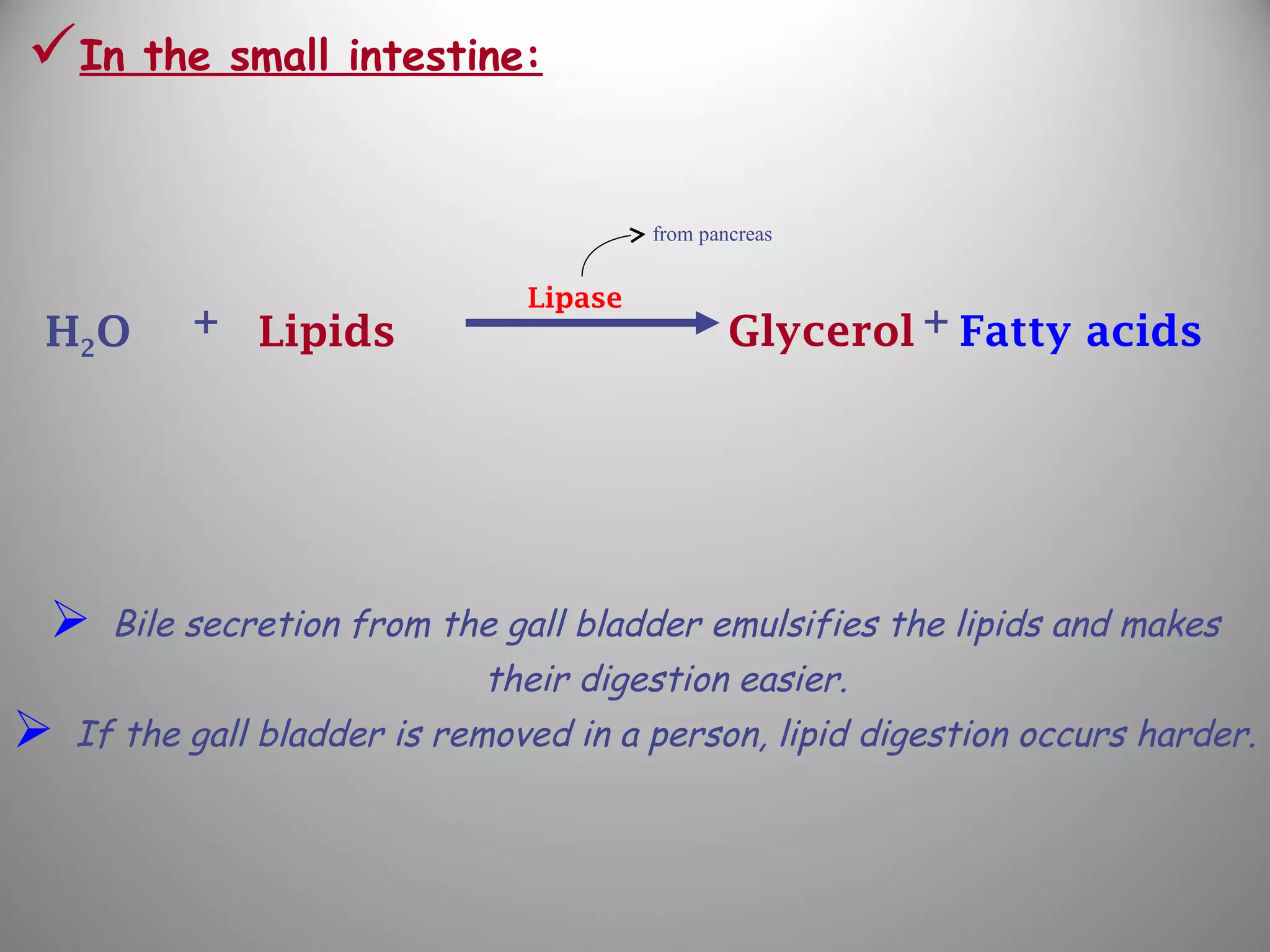 In the small intestine:
 Bile secretion from the gall bladder emulsifies the lipids and makes
their digestion easier.
 If the gall bladder is removed in a person, lipid digestion occurs harder.
from pancreas
+H2O Lipids +Glycerol Fatty acids
Lipase
 