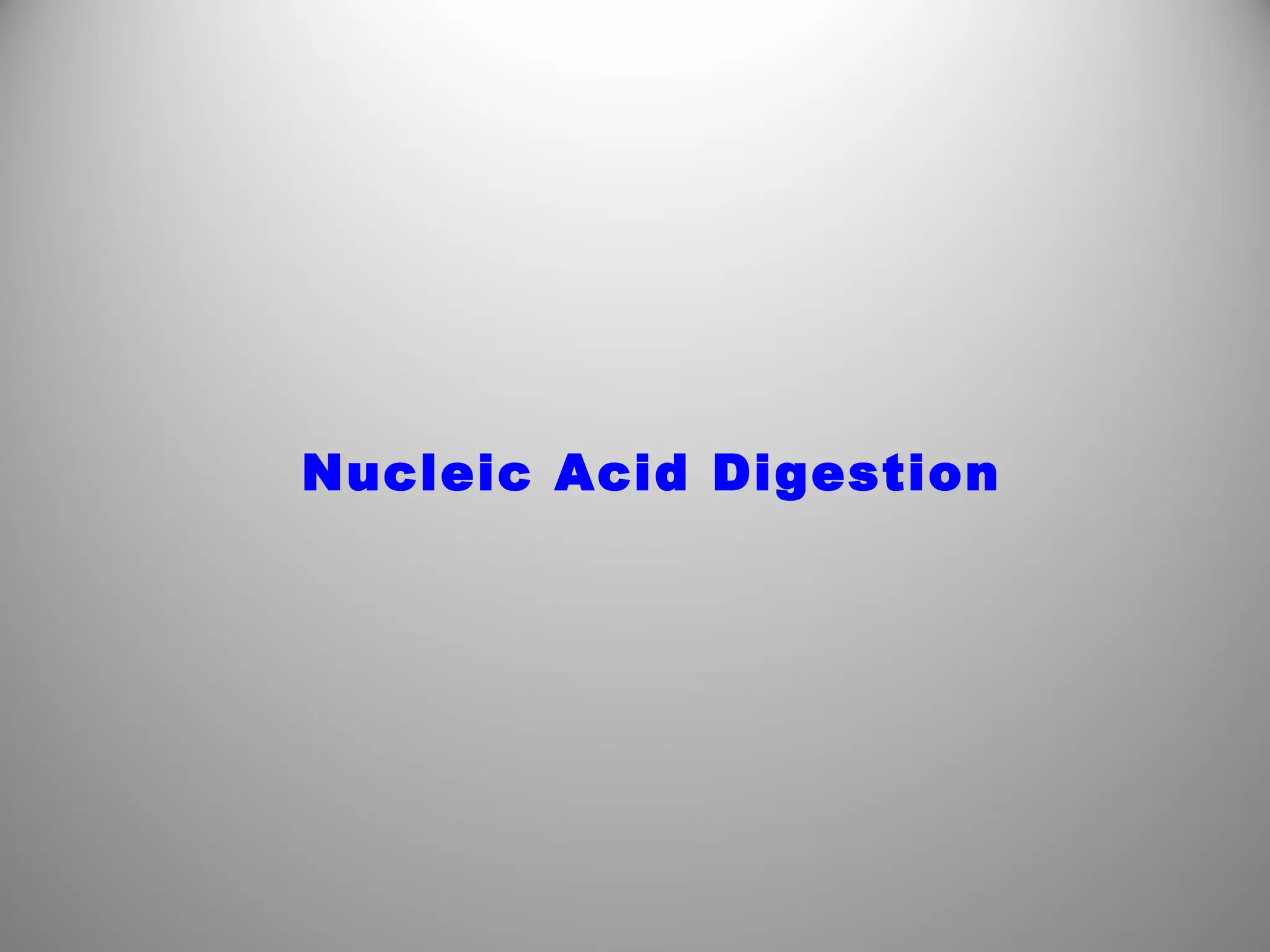 Nucleic Acid Digestion
 
