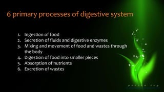 1. Ingestion of food
2. Secretion of fluids and digestive enzymes
3. Mixing and movement of food and wastes through
the body
4. Digestion of food into smaller pieces
5. Absorption of nutrients
6. Excretion of wastes
6 primary processes of digestive system
 