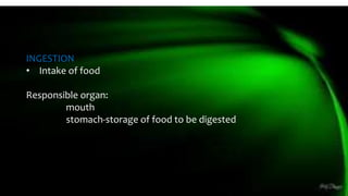 INGESTION
• Intake of food
Responsible organ:
mouth
stomach-storage of food to be digested
 