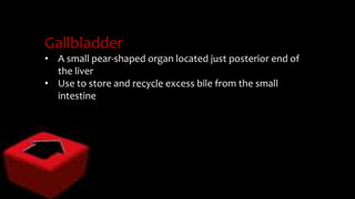 Gallbladder
• A small pear-shaped organ located just posterior end of
the liver
• Use to store and recycle excess bile from the small
intestine
 