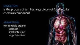 DIGESTION
Is the process of turning large pieces of food into its
chemical component
ABSORPTION
Responsible organs:
stomach
small intestine
large intestine
 