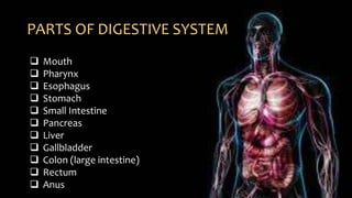 PARTS OF DIGESTIVE SYSTEM
 Mouth
 Pharynx
 Esophagus
 Stomach
 Small Intestine
 Pancreas
 Liver
 Gallbladder
 Colon (large intestine)
 Rectum
 Anus
 