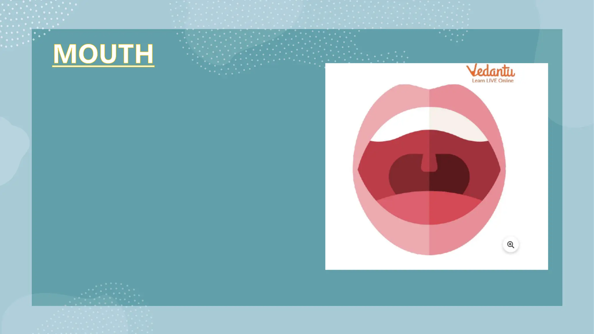 Digest file grade 3 human body science subject | PPTX