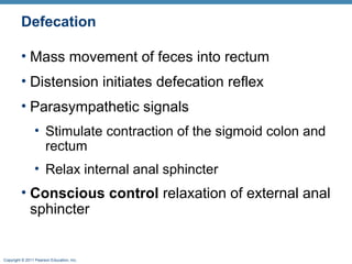 Defecation
• Mass movement of feces into rectum
• Distension initiates defecation reflex
• Parasympathetic signals
• Stimulate contraction of the sigmoid colon and
rectum
• Relax internal anal sphincter

• Conscious control relaxation of external anal
sphincter

Copyright © 2011 Pearson Education, Inc.

 