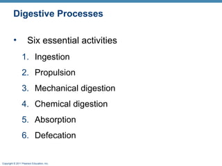 Digestive Processes
•

Six essential activities
1. Ingestion
2. Propulsion
3. Mechanical digestion
4. Chemical digestion
5. Absorption
6. Defecation

Copyright © 2011 Pearson Education, Inc.

 