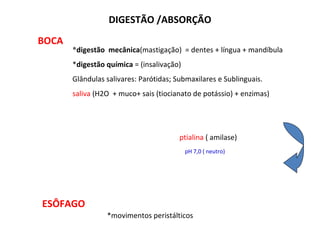 DIGESTÃO /ABSORÇÃO BOCA * digestão  mecânica (mastigação)  = dentes + língua + mandíbula * digestão química  = (insalivação) Glândulas salivares: Parótidas; Submaxilares e Sublinguais. saliva  (H2O  + muco+ sais (tiocianato de potássio) + enzimas) ptialina  ( amilase) pH 7,0 ( neutro) ESÔFAGO *movimentos peristálticos 