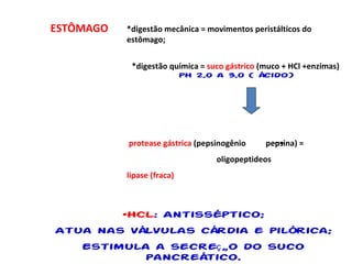 ESTÔMAGO *digestão mecânica = movimentos peristálticos do  estômago; *digestão química =  suco gástrico  (muco + HCl +enzimas)  pH 2,0 a 3,0 ( ácido) protease gástrica  (pepsinogênio  pepsina) =  oligopeptideos lipase (fraca) HCL : Antisséptico; Atua nas válvulas cárdia e pilórica; Estimula a secreção do suco pancreático. 