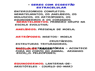 Enterozoários completos: nematelmintos, os anelídeos, os moluscos, os artrópodes, os equinodermos e os cordados. Nematelmintos : primeiro grupo na escala evolutiva; Anelídeos : presença de moela; Artrópodes : insetos- moela crustáceos: estruturas trituradoras, Exceção:  Extracorpórea -  Acontece fora do corpo do animal.  aranhas Moluscos : Rádula Exceção: Pelecípodes; Equinodermos : Lanterna-de-aristóteles – (ouriço-do-mar) •  SERES COM DIGESTÃO EXTRACELULAR 