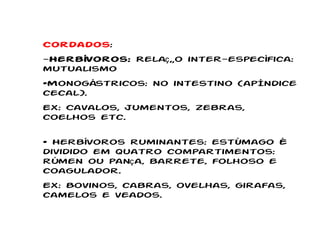 Cordados :  Herbívoros:  Relação inter-específica: mutualismo • Monogástricos: no intestino (apêndice cecal). Ex: Cavalos, jumentos, zebras, coelhos etc. •  Herbívoros ruminantes: estômago é dividido em quatro compartimentos: rúmen ou pança, barrete, folhoso e coagulador.  Ex: Bovinos, cabras, ovelhas, girafas, camelos e veados. 