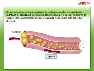 Digestao | PPT