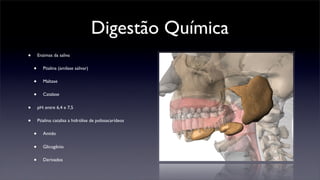 Digestão Química
•       Enzimas da saliva


    •      Ptialina (amilase salivar)


    •      Maltase


    •      Catalase


•       pH: entre 6,4 e 7,5


•       Ptialina: catalisa a hidrólise de polissacarídeos


    •      Amido


    •      Glicogênio


    •      Derivados
 