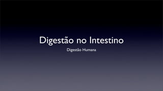 Digestão no Intestino
      Digestão Humana
 