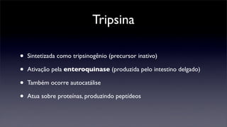 Tripsina

•   Sintetizada como tripsinogênio (precursor inativo)

•   Ativação pela enteroquinase (produzida pelo intestino delgado)

•   Também ocorre autocatálise

•   Atua sobre proteínas, produzindo peptídeos
 