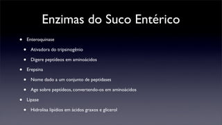Enzimas do Suco Entérico
•       Enteroquinase

    •    Ativadora do tripsinogênio

    •    Digere peptídeos em aminoácidos

•       Erepsina

    •    Nome dado a um conjunto de peptidases

    •    Age sobre peptídeos, convertendo-os em aminoácidos

•       Lipase

    •    Hidrolisa lipídios em ácidos graxos e glicerol
 