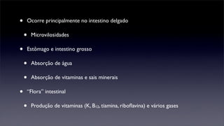 •   Ocorre principalmente no intestino delgado

    •   Microvilosidades

•   Estômago e intestino grosso

    •   Absorção de água

    •   Absorção de vitaminas e sais minerais

•   “Flora” intestinal

    •   Produção de vitaminas (K, B12, tiamina, riboﬂavina) e vários gases
 