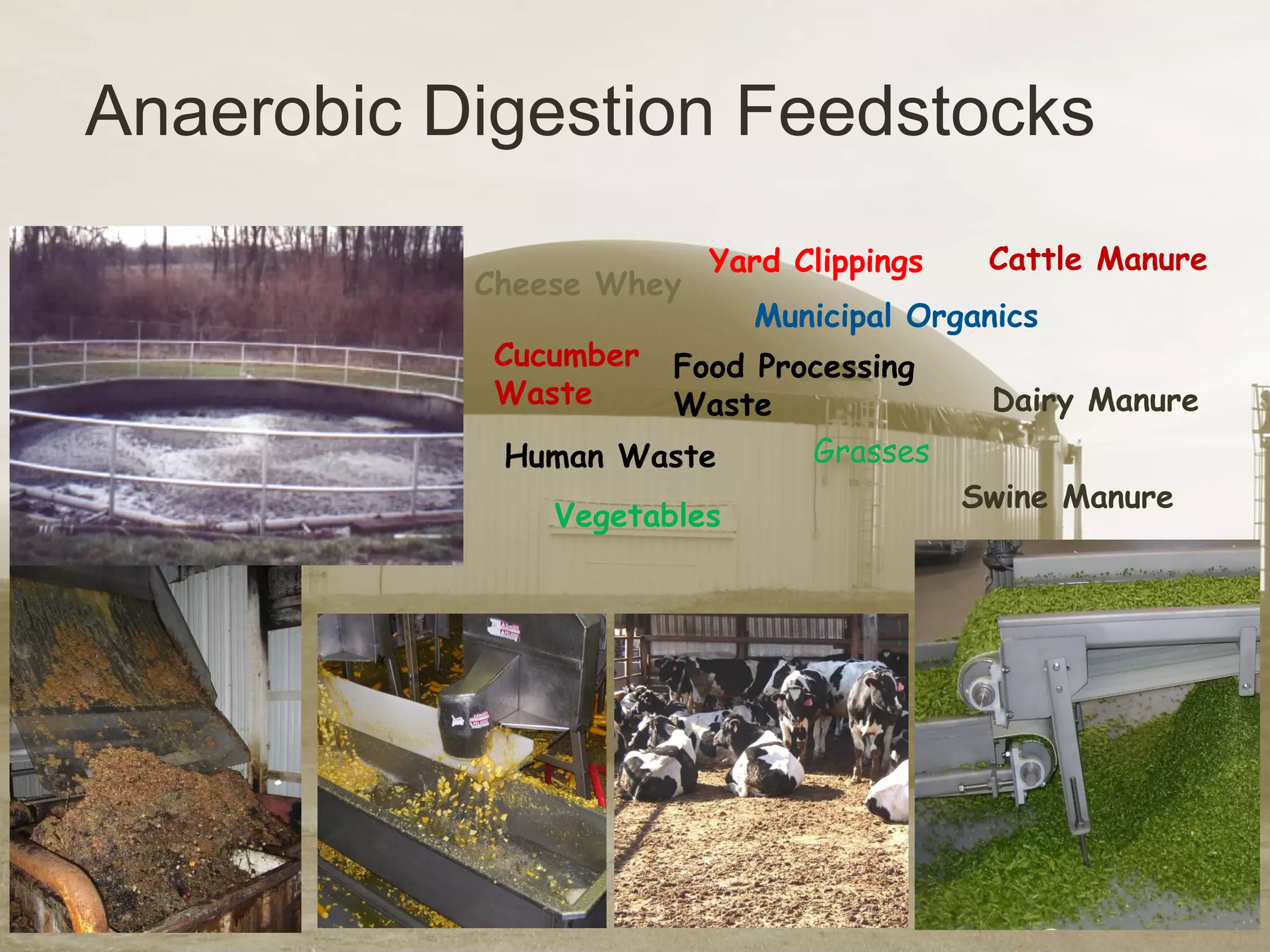 Anaerobic Digestion Feedstocks
Cheese Whey
Swine Manure
Dairy Manure
Cattle Manure
Cucumber
Waste
Yard Clippings
Municipal Organics
Human Waste
Food Processing
Waste
Vegetables
Grasses
 