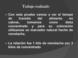 Trabajo realizadoCon esta prueba vamos a ver el tiempo de transito del alimento en cabras, tomamos como dieta concentrado y para su coloración utilizamos un marcador natural hecho de remolacha. La relación fue 1 kilo de remolacha por 3 kilos de concentrado